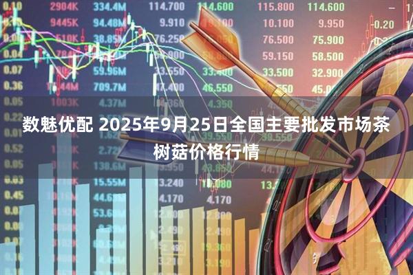 数魅优配 2025年9月25日全国主要批发市场茶树菇价格行情